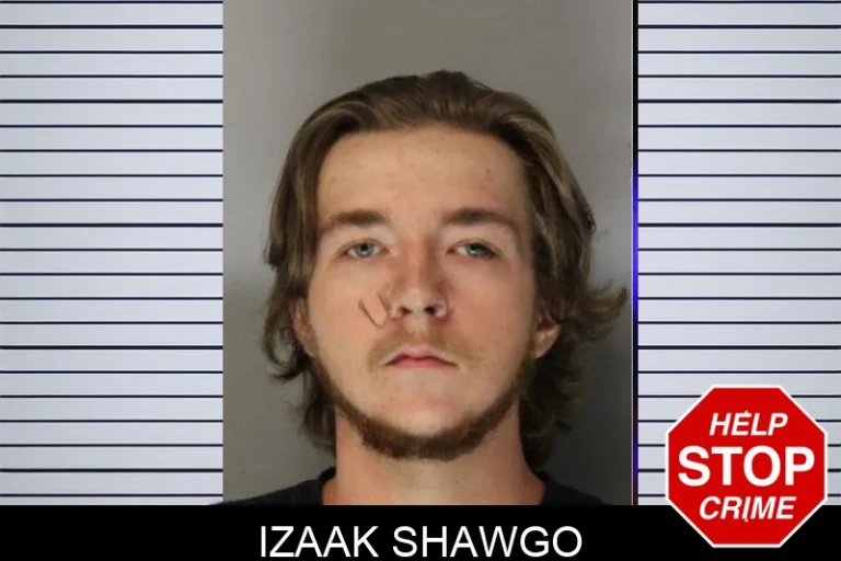 Izaak Shawgo mugshot – Hall County , Georgia Izaak Shawgo
