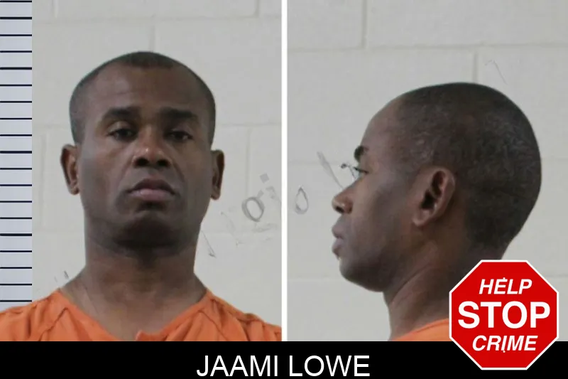 Jaami Lowe mugshot – Houston County , Georgia Jaami Lowe mugshot