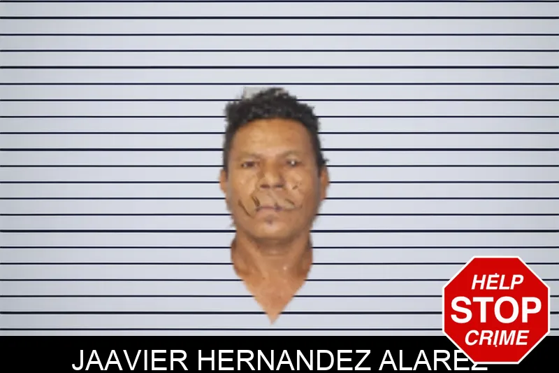Jaavier Hernandez Alarez