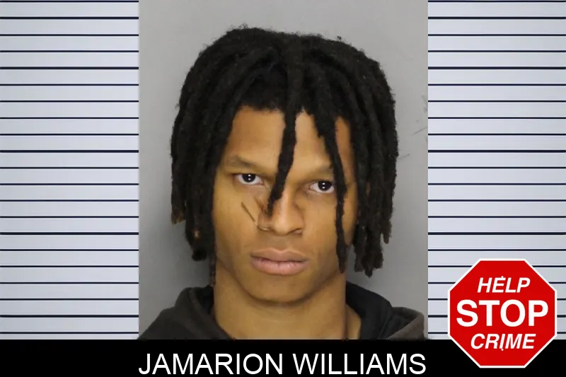 Jamarion Williams mugshot