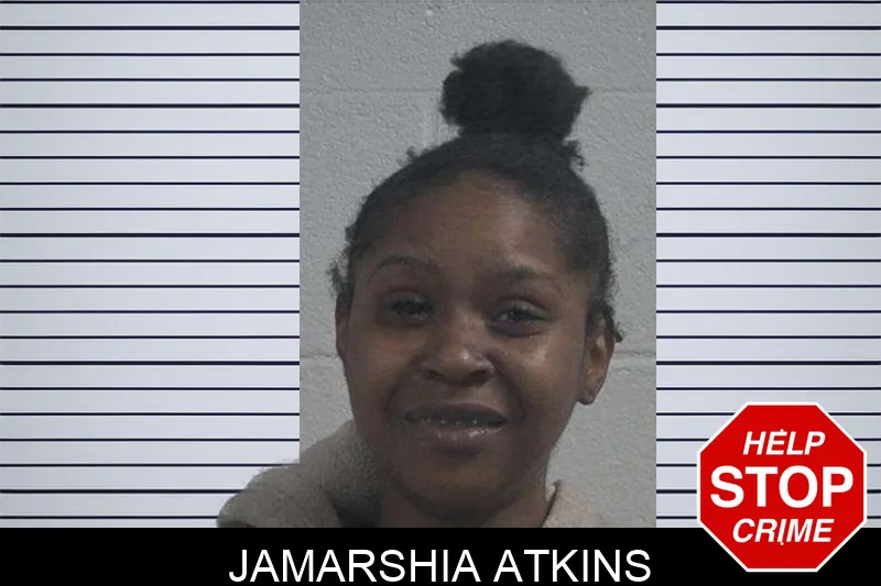 Jamarshia Atkins mugshot – McDuffie County , Georgia Jamarshia Atkins mugshot