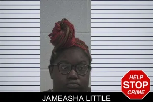 Jameasha Little mugshot