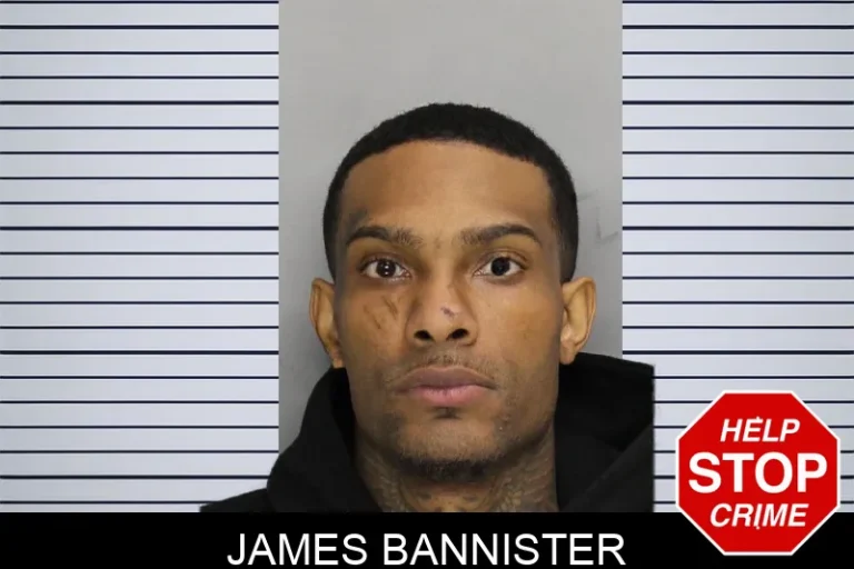 James Bannister