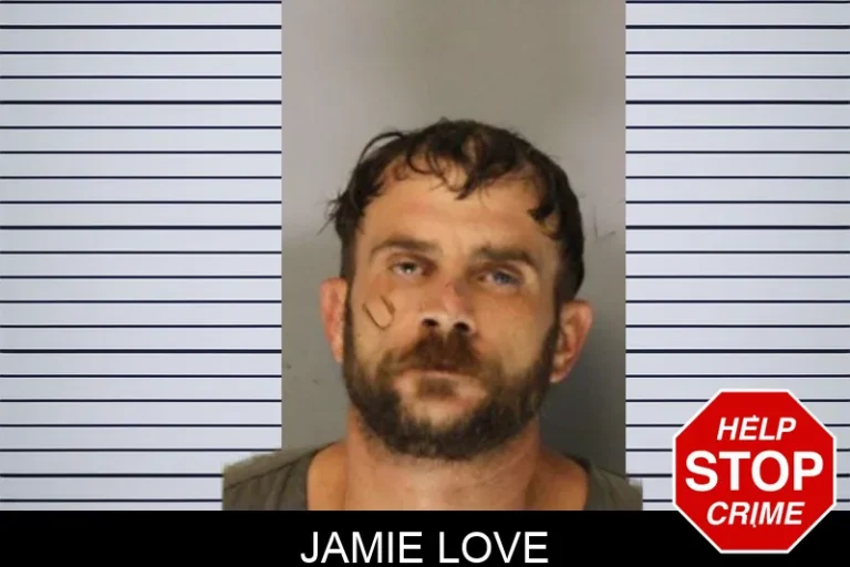 Jamie Love