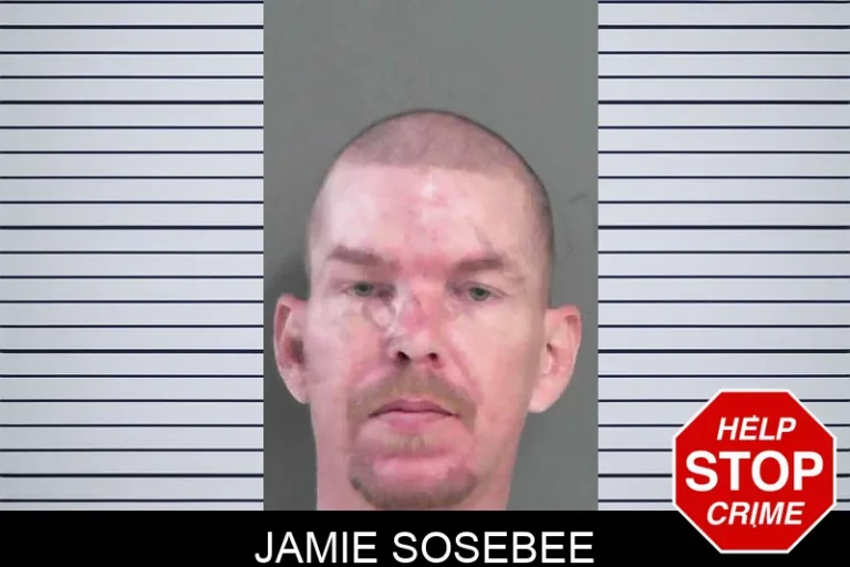Jamie Sosebee