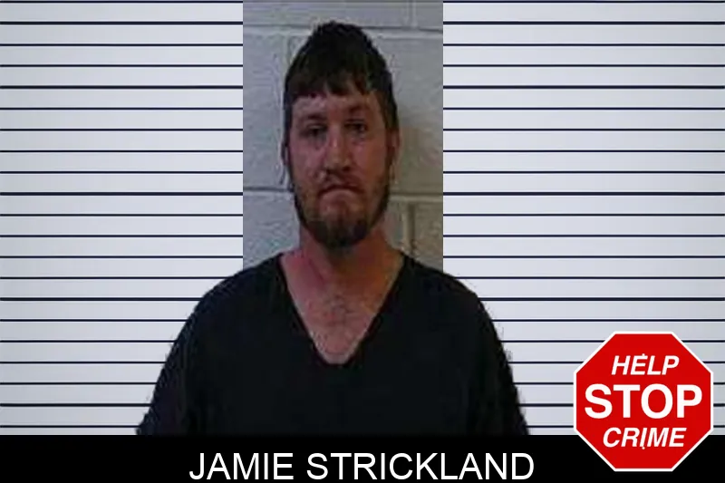 Jamie Strickland
