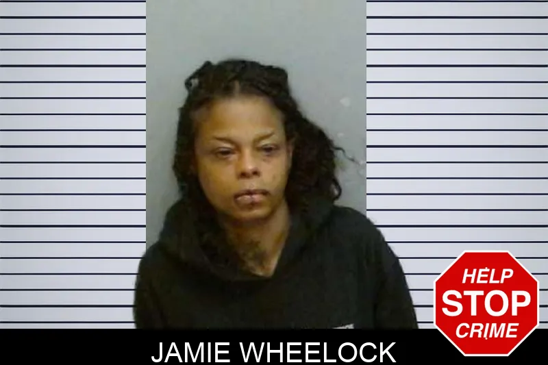 Jamie Wheelock Mugshots
