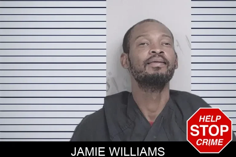 Jamie Williams mugshot – Lowndes County , Georgia Jamie Williams