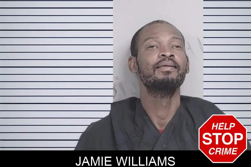 Jamie Williams mugshot