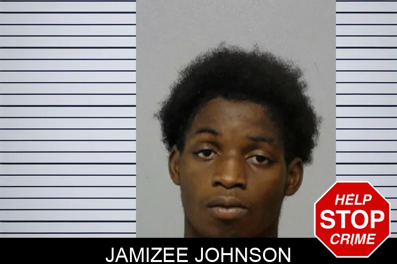 Jamizee Johnson mugshot – Bibb County , Georgia Jamizee Johnson mugshot