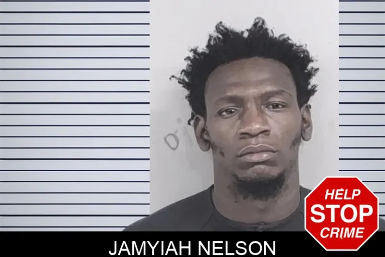 Jamyiah Nelson mugshot – Lowndes County , Georgia Jamyiah Nelson