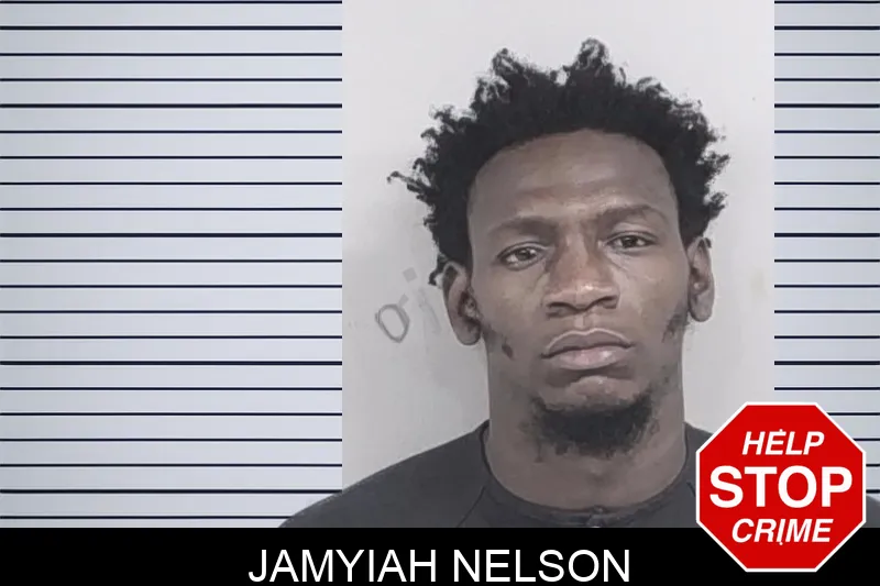 Jamyiah Nelson mugshot – Lowndes County , Georgia Jamyiah Nelson mugshot