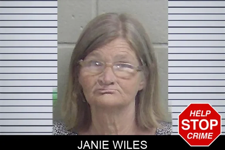 Janie Wiles mugshot – Wayne County , Georgia Janie Wiles