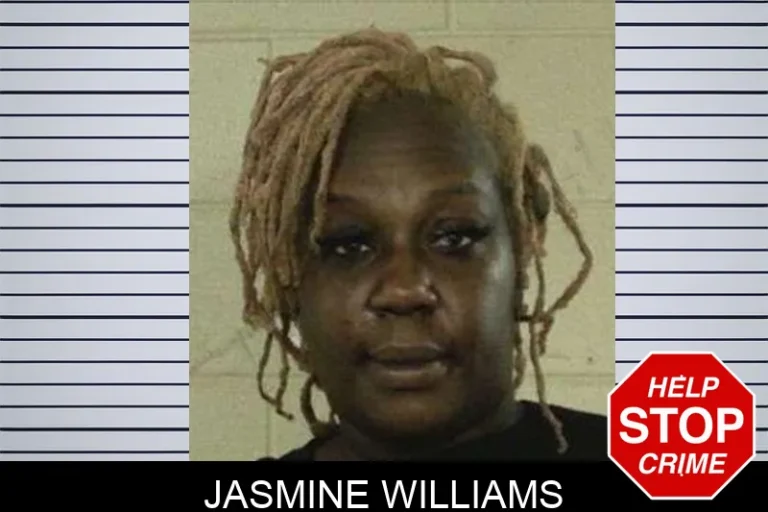 Jasmine Williams mugshot – Liberty County , Georgia Jasmine Williams