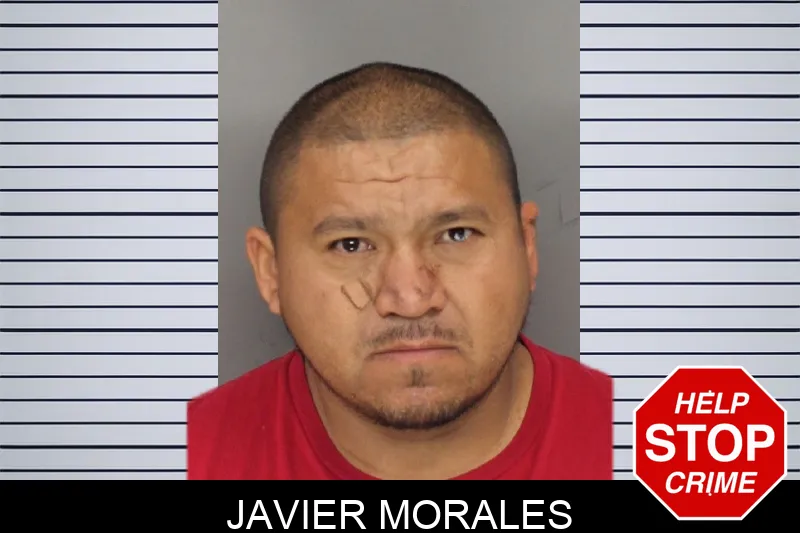 Javier Morales mugshot
