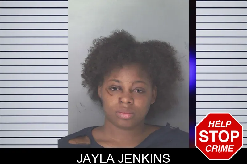 Jayla Jenkins mugshot – Douglas County , Georgia Jayla Jenkins mugshot