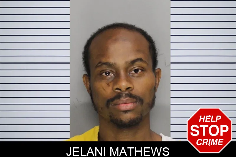 Jelani Mathews mugshot – Cobb County , Georgia Jelani Mathews mugshot