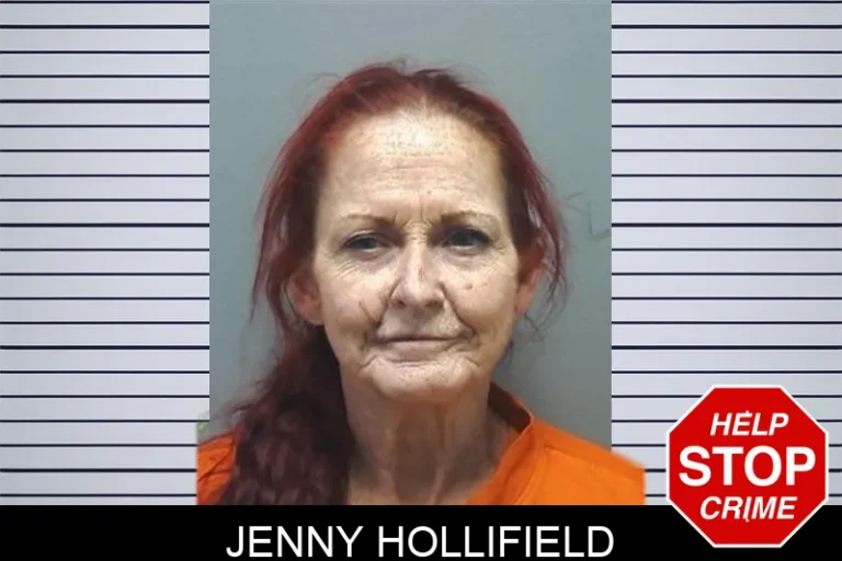 Jenny Hollifield mugshot – Cherokee County , Georgia Jenny Hollifield