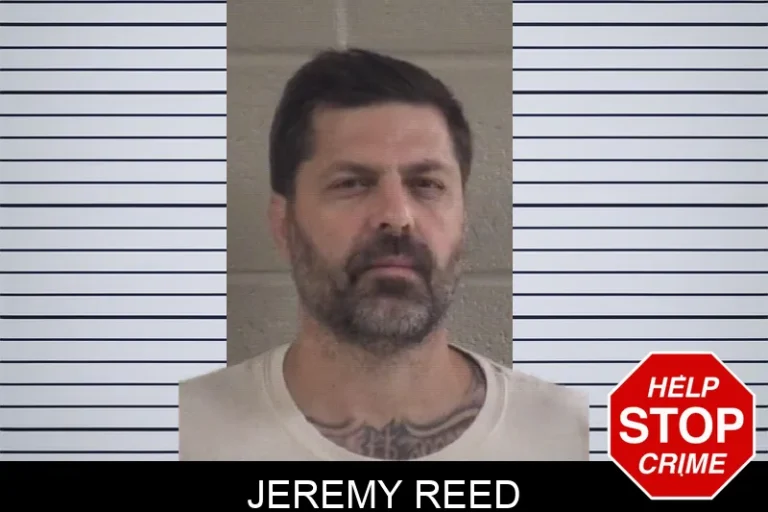 Jeremy Reed