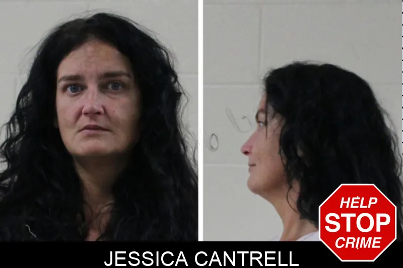 Jessica Cantrell Mugshots