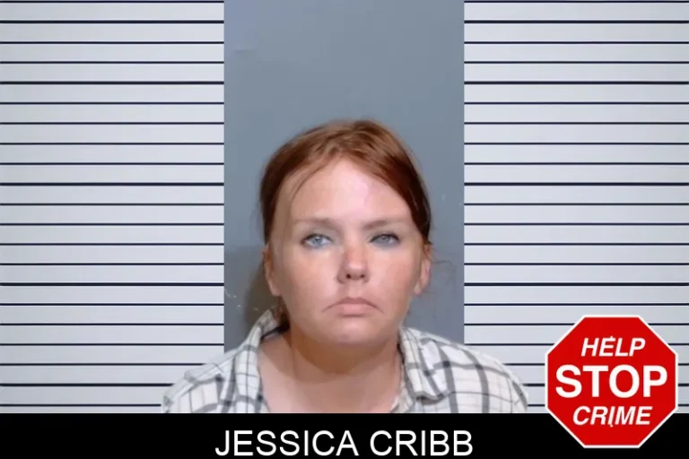 Jessica Cribb mugshot – Glynn County , Georgia Jessica Cribb