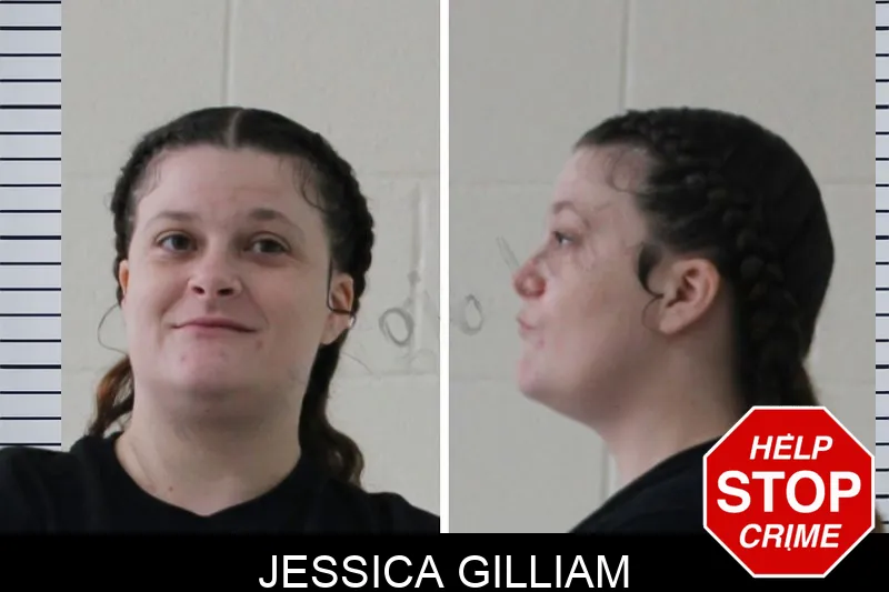 Jessica Gilliam mugshot – Houston County , Georgia Jessica Gilliam mugshot