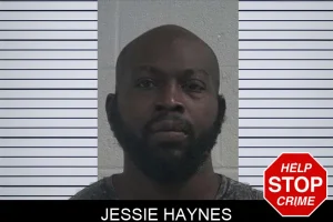 Jessie Haynes mugshot