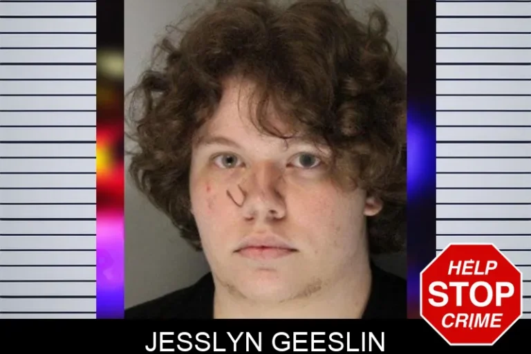 Jesslyn Geeslin mugshot – Hall County , Georgia Jesslyn Geeslin