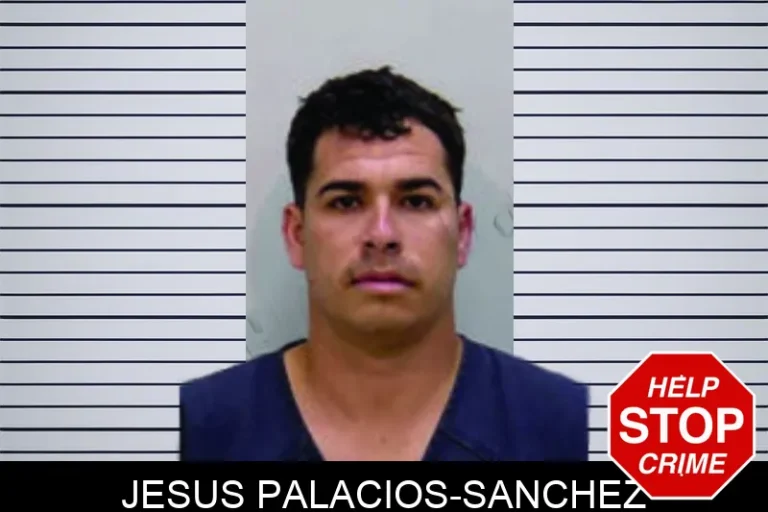 Jesus Palacios-Sanchez