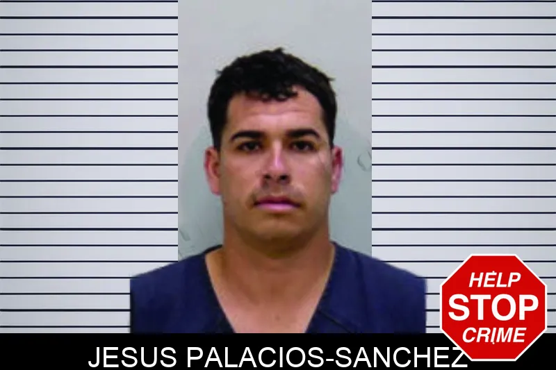 Jesus Palacios-Sanchez mugshot