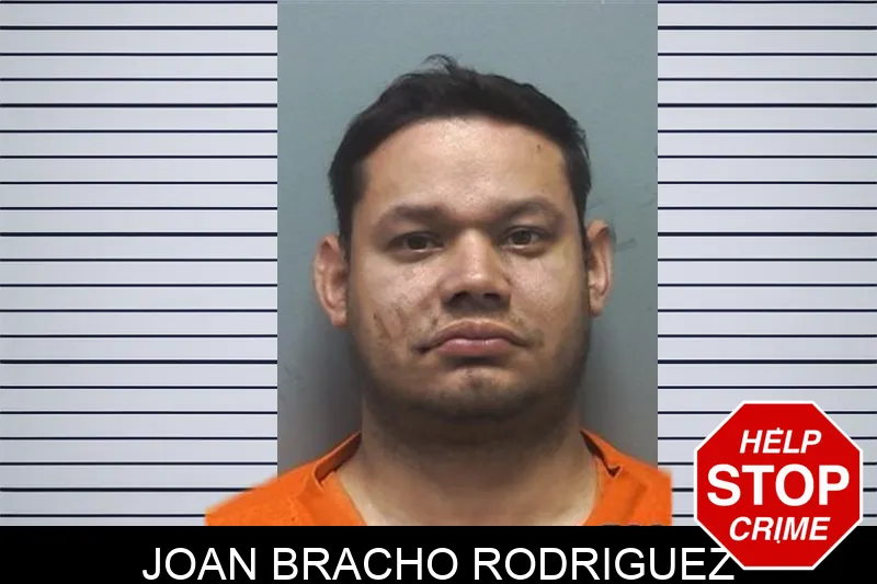 Joan Bracho Rodriguez Mugshots