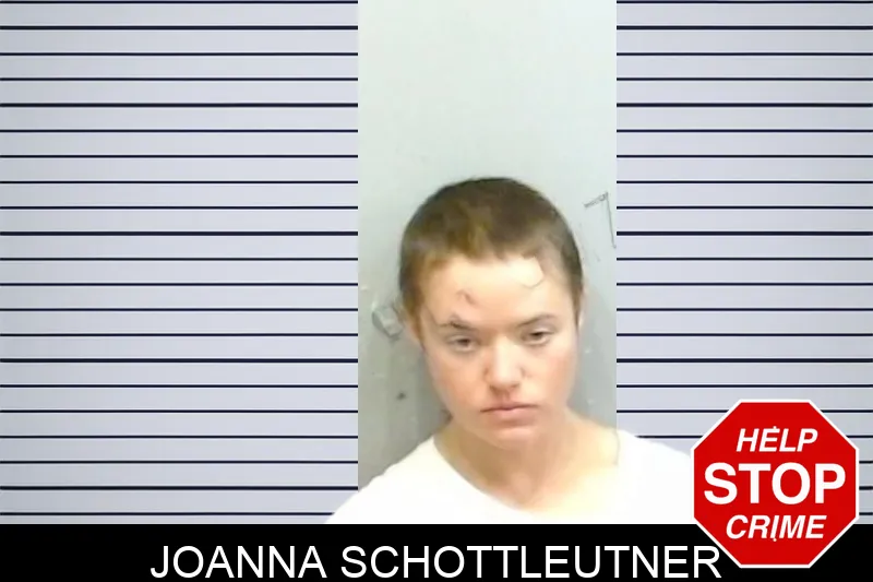 Joanna Schottleutner mugshot – Fulton County , Georgia Joanna Schottleutner mugshot