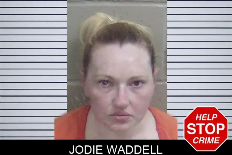 Jodie Waddell