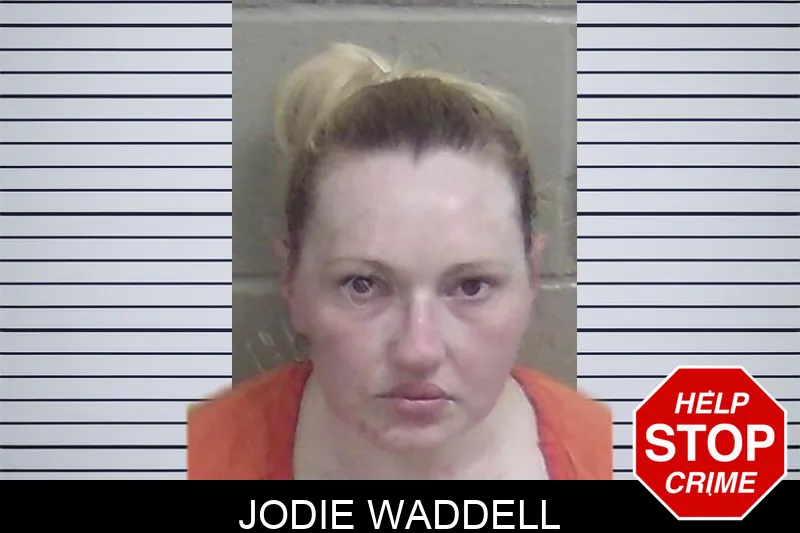 Jodie Waddell Mugshots