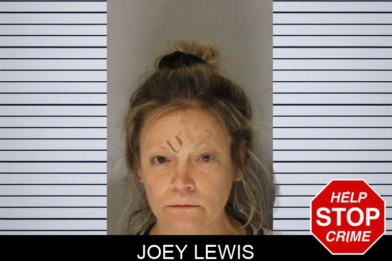 Joey Lewis Mugshots