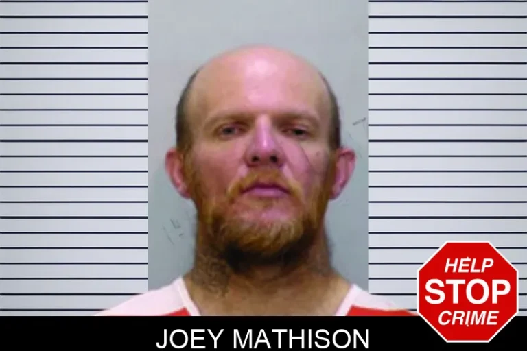 Joey Mathison