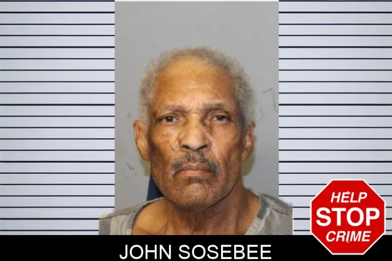 John Sosebee mugshot – Hall County , Georgia John Sosebee