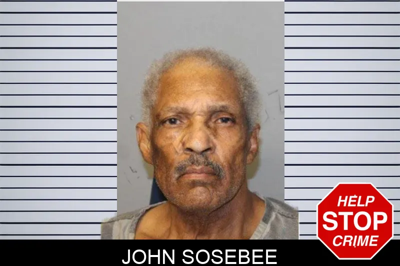 John Sosebee Mugshots