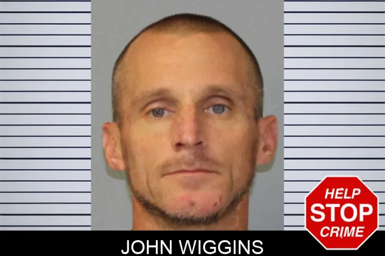 John Wiggins mugshot – Mcintosh County , Georgia John Wiggins