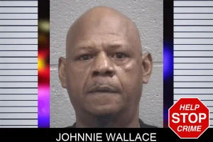 Johnnie Wallace mugshot
