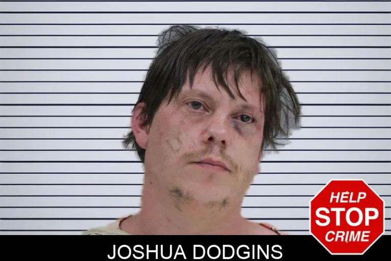 Joshua Dodgins