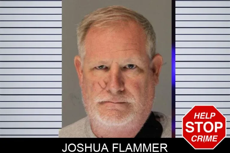 Joshua Flammer mugshot – Hall County , Georgia Joshua Flammer