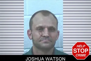 Joshua Watson mugshot