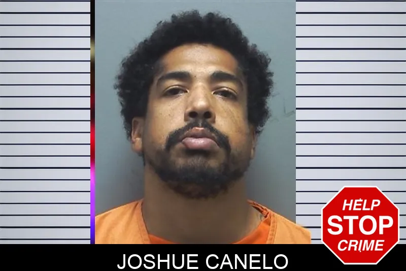Joshue Canelo mugshot – Cherokee County , Georgia Joshue Canelo mugshot