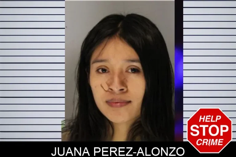 Juana Perez-Alonzo mugshot – Hall County , Georgia Juana Perez-Alonzo