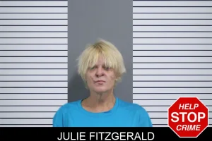 Julie Fitzgerald mugshot