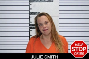 Julie Smith mugshot