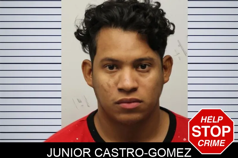 Junior Castro-Gomez mugshot