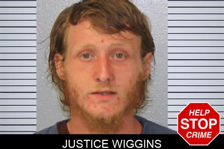 Justice Wiggins mugshot – Mcintosh County , Georgia Justice Wiggins