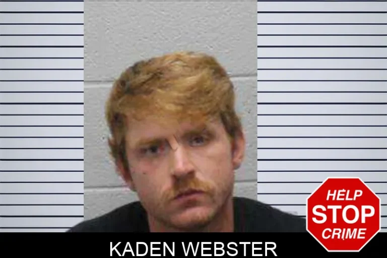 Kaden Webster